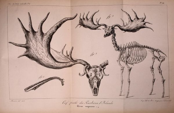 The opposite of a holiday