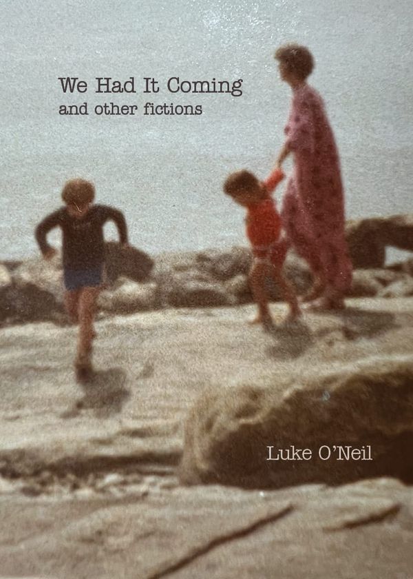 My new book! 'We Had It Coming'