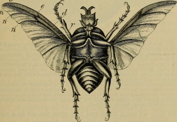 Reporter, Dystopia Beat