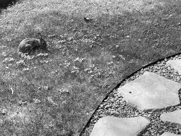 I gotta believe we can't live like this forever