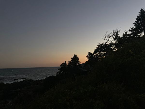 Who will clean all of this up?