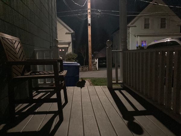 A terrible beauty is born