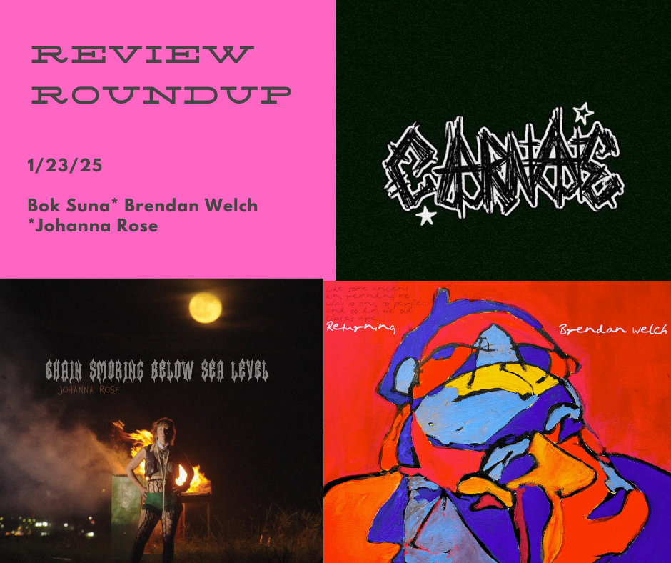 Review Roundup 1/23: Bok Suna, Brendan Welch, Johanna Rose