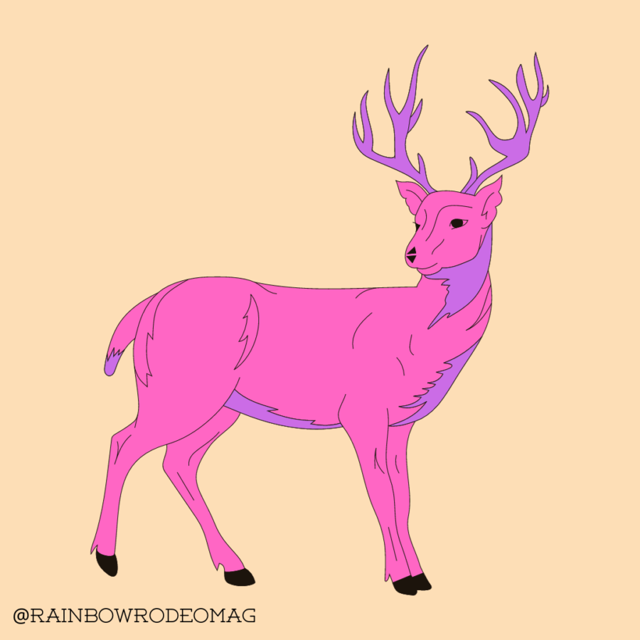 Rainbow Roundup: Deers and Queers