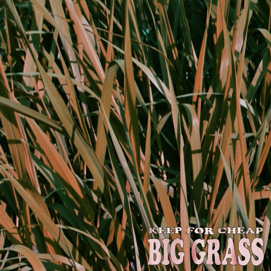 Keep For Cheap -- Big Grass
