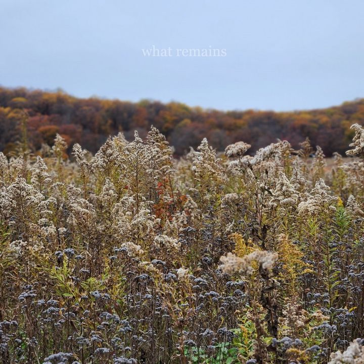 Bug Martin & Co -- WHAT REMAINS