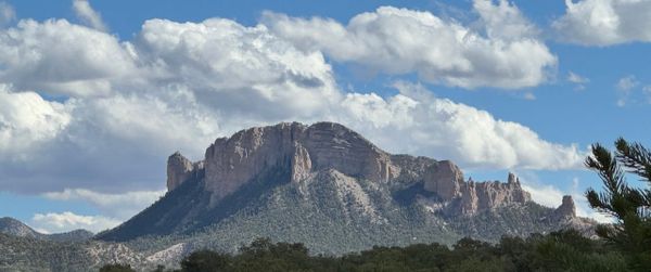 New Mexico Wines - From T. Mullen