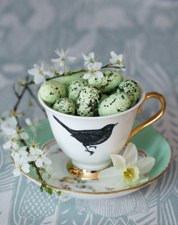 Pretty teacup with decorative quail eggs.