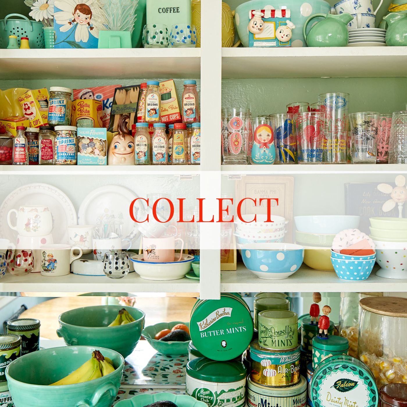 Collector Close-Up: Kitsch & Caboodle
