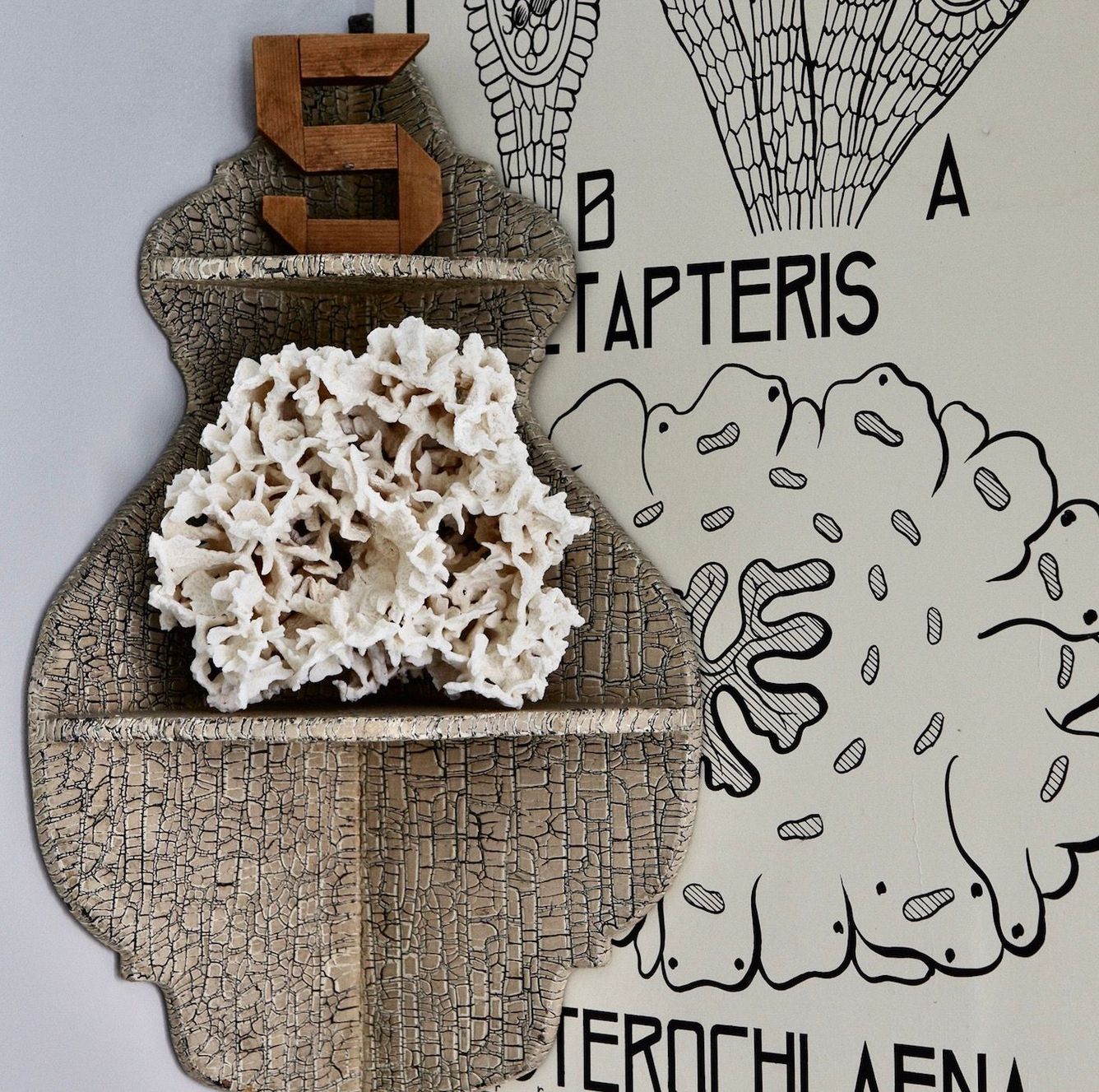 Small Space, Big Impact—Lesson 2