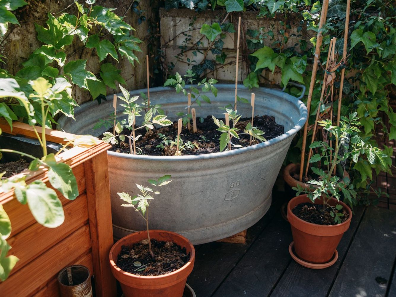 Contain Your Enthusiasm