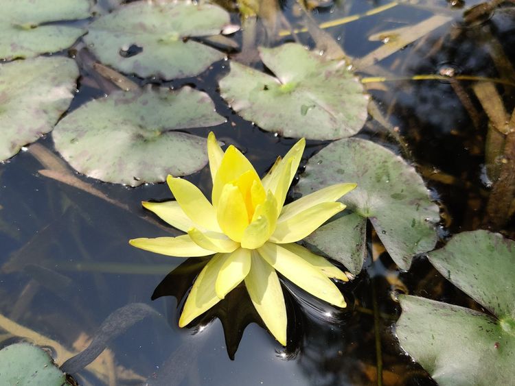 The Story Of My Very First Post