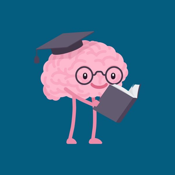 What is an executive functioning coach?