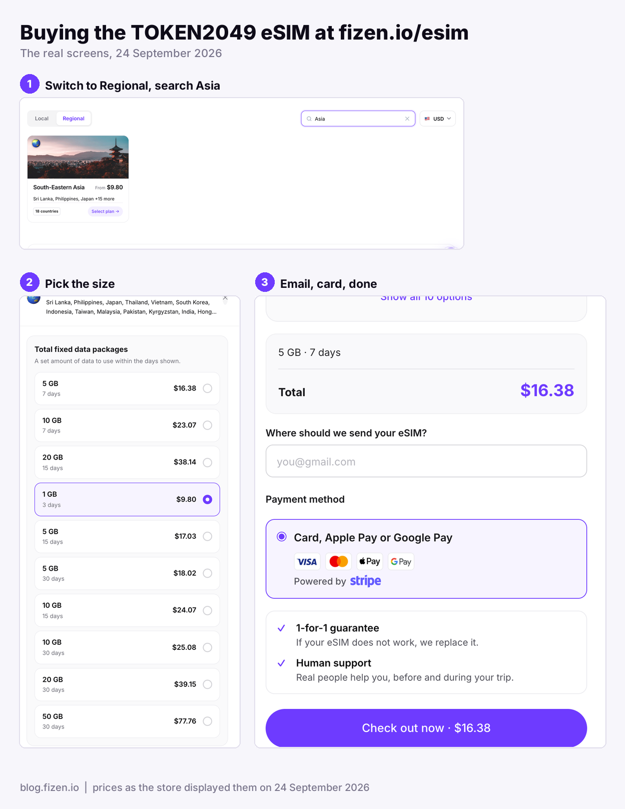 The fizen.io/esim web store: the Regional tab with the South-Eastern Asia plan, the list of data packages with prices, and the checkout with email and card payment