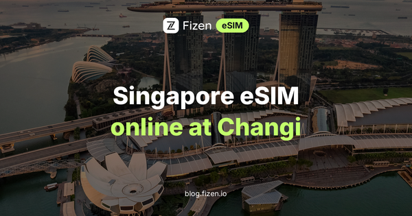 Singapore eSIM for TOKEN2049: How to Set It Up and Be Online at Changi (2026)