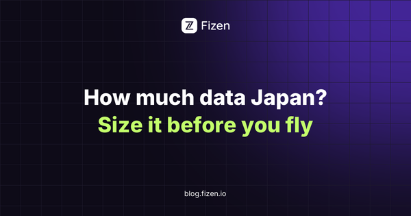 How Much Data Do You Need in Japan? (What I Wish I Knew)