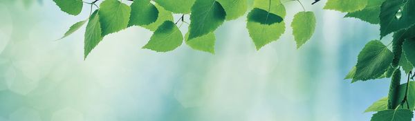 India — BRSR Core (Business Responsibility and Sustainability Reporting Core)