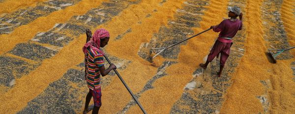 UK — Modern Slavery Act (MSA)