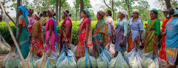 Canada — Fighting Against Forced Labour and Child Labour in Supply Chains Act (Modern Slavery Act)
