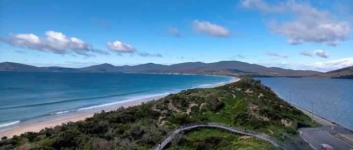 Tassie Update Jan 2022