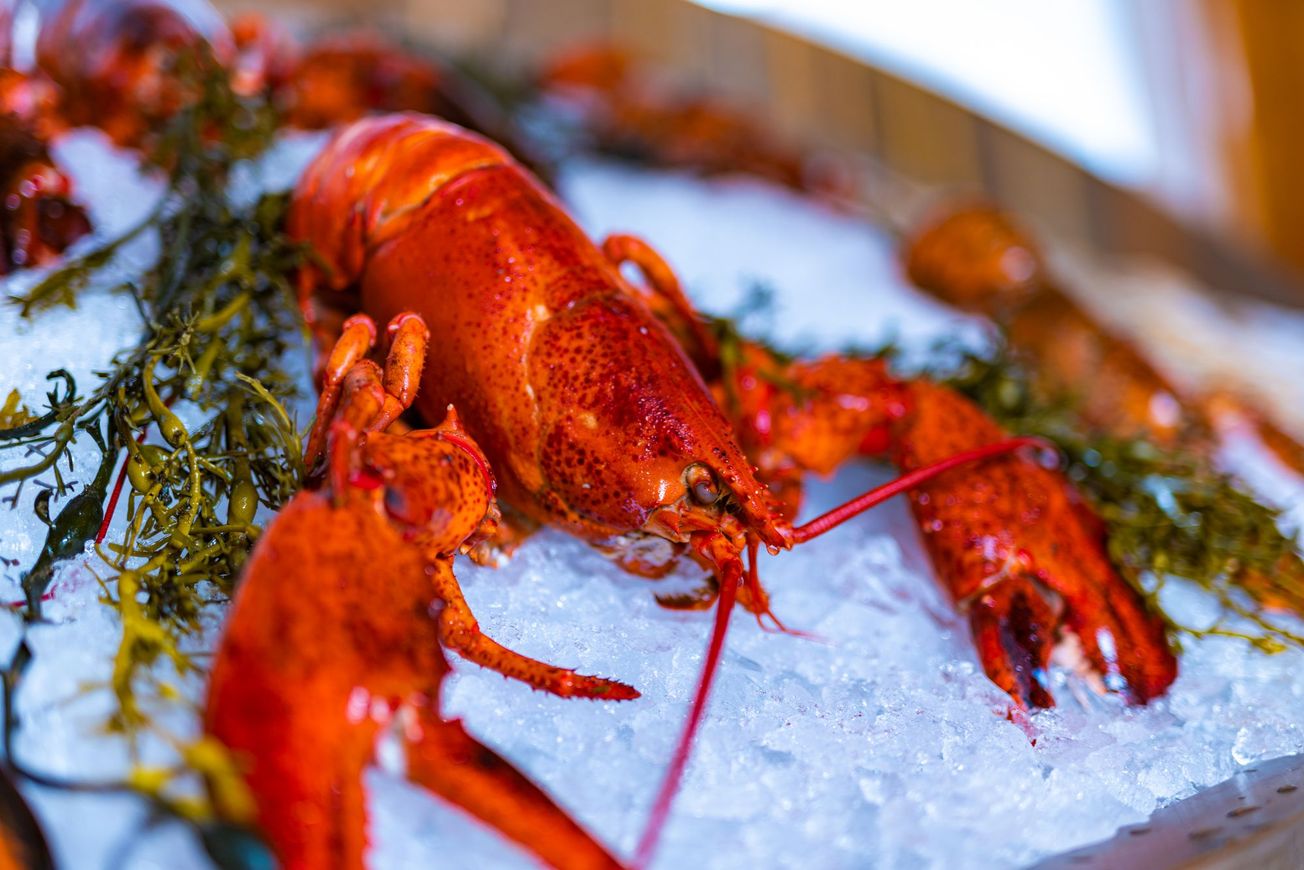 The Dougherty Dynasty