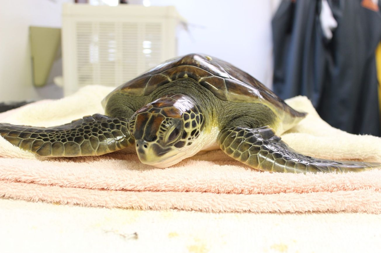 Decades Of Local Kindness