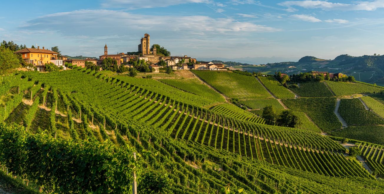 Understanding Piedmont:  A Journey Through Italy’s Wine Heartland