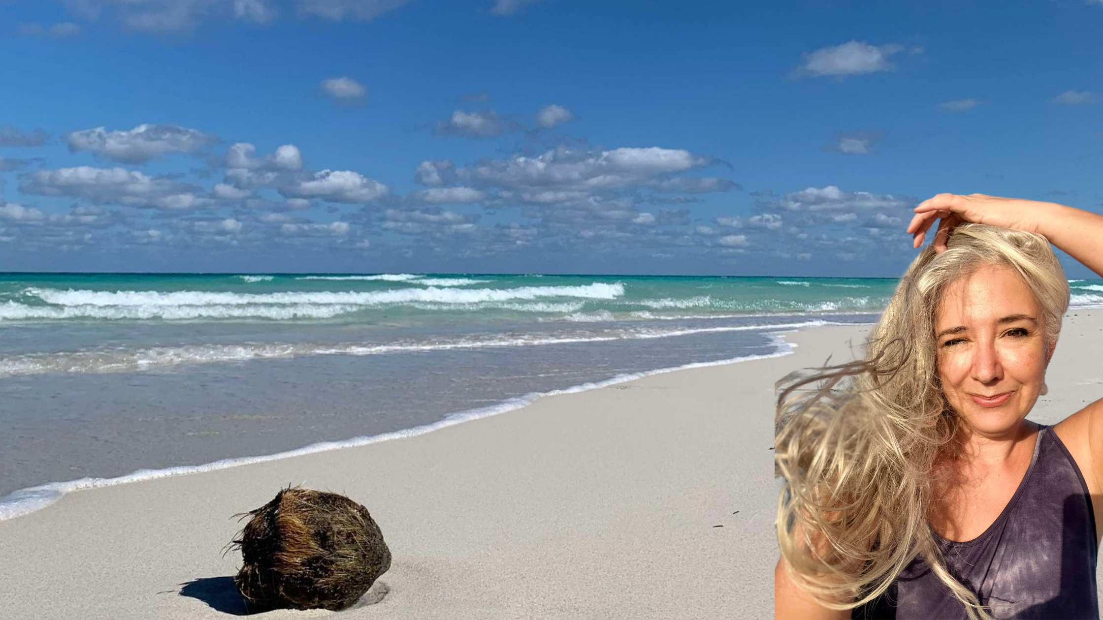 Roxanne Lynch . The Blog