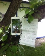 How to Make Extra Money Online