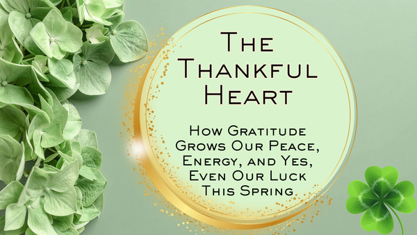 Daily Gratitude | Morning Gratitude Affirmation | Gratitude Journaling Ideas | Gratitude Affirmation 