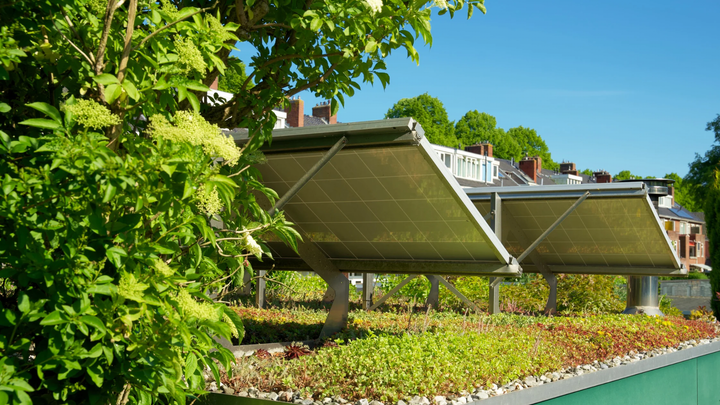 Global Agrivoltaics Revolution: Solar Energy Meets Agriculture in Groundbreaking Projects
