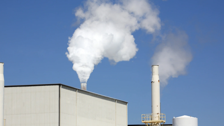 Revolutionizing Carbon Capture: The Tiny Powder That Absorbs CO₂ Like a Tree