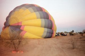 the severance letter i wrote to my parents