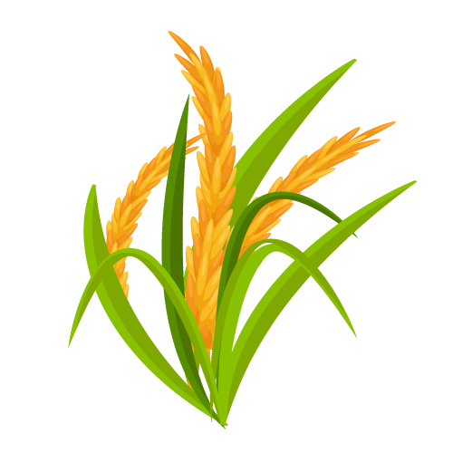 Blog Người Làm Ruộng - Đam mê đờn ca tài tử, vọng cổ, cải lương