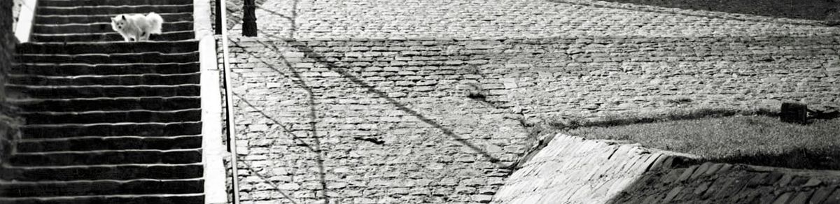 He Who Photographed Dykedom