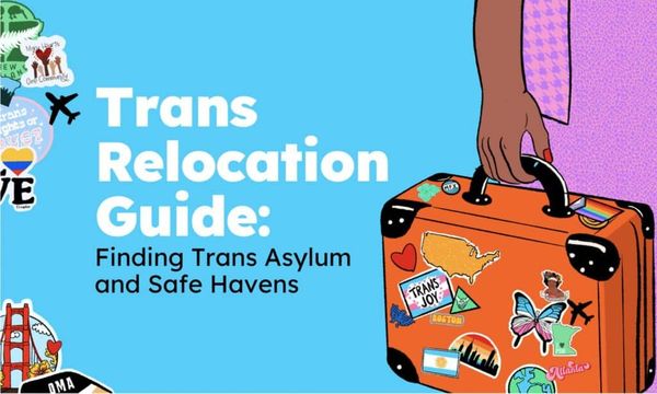 Redrawing U.S. QueerTransness