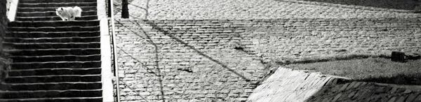 He Who Photographed Dykedom