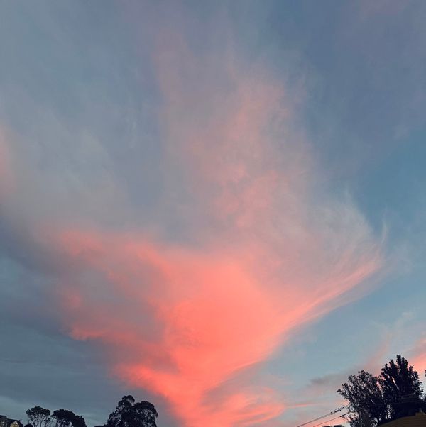 They are trying to destroy your imagination