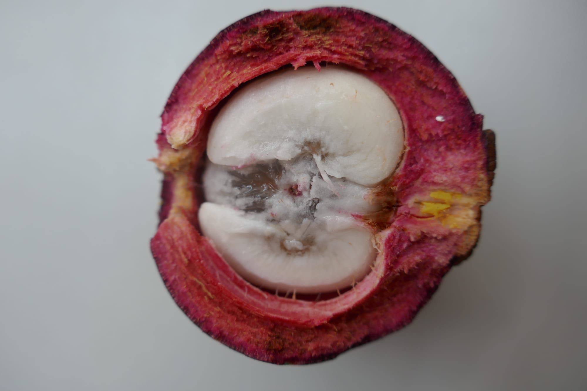 Photo de l'interieur d'un mangostino a Bogota en Colombie.