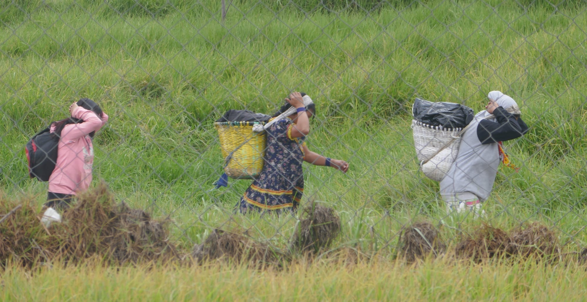 trois migrantes vénézuéliennes transportent des sacs et marchent le long d'une route de Bogotá, la capitale de la Colombie.