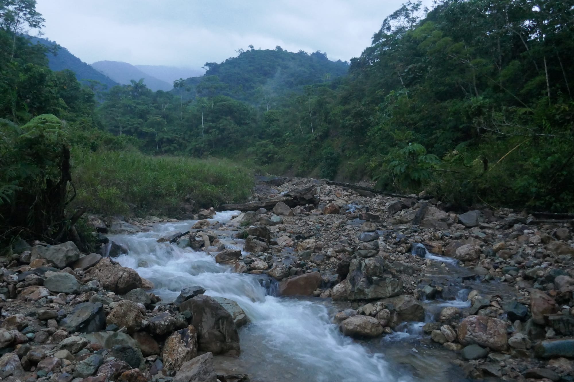 Cours d'eau et foret dans la région de Mocoa.