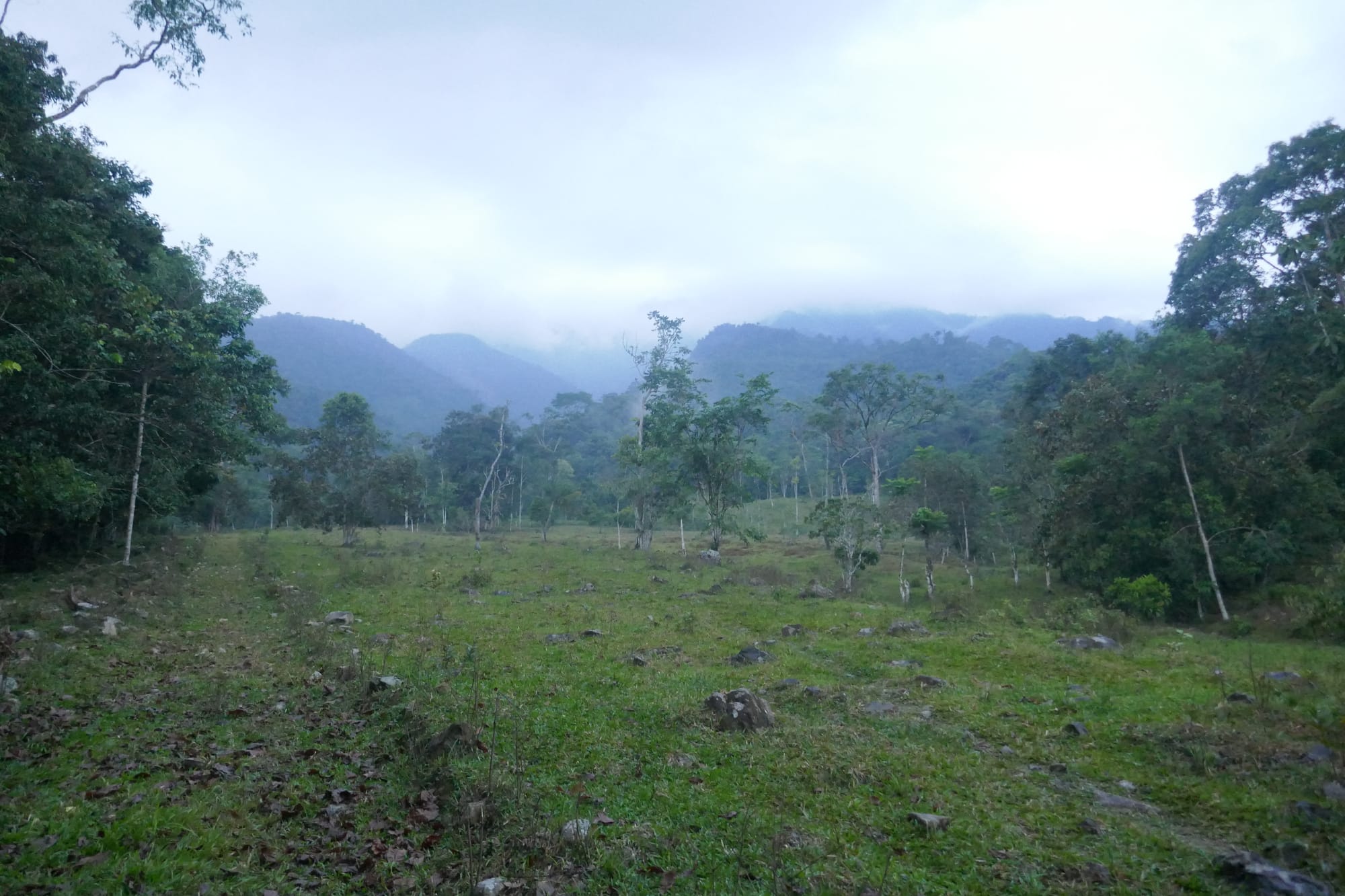 Un terrain avec des arbres et des montagnes au loin, à Mocoa en Colombie.