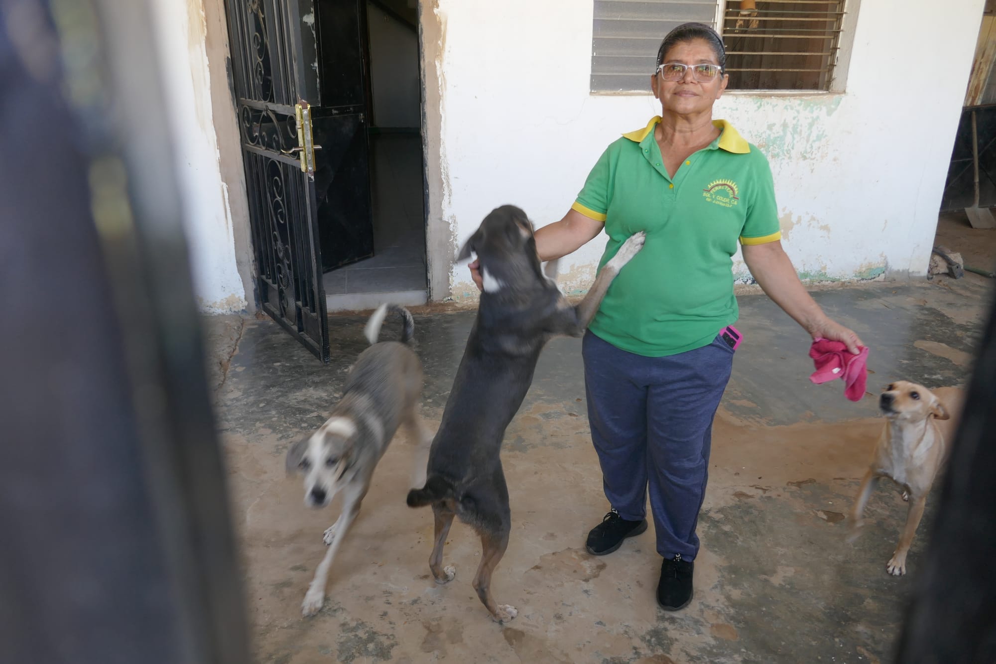 Une femme entourée par trois chiens.