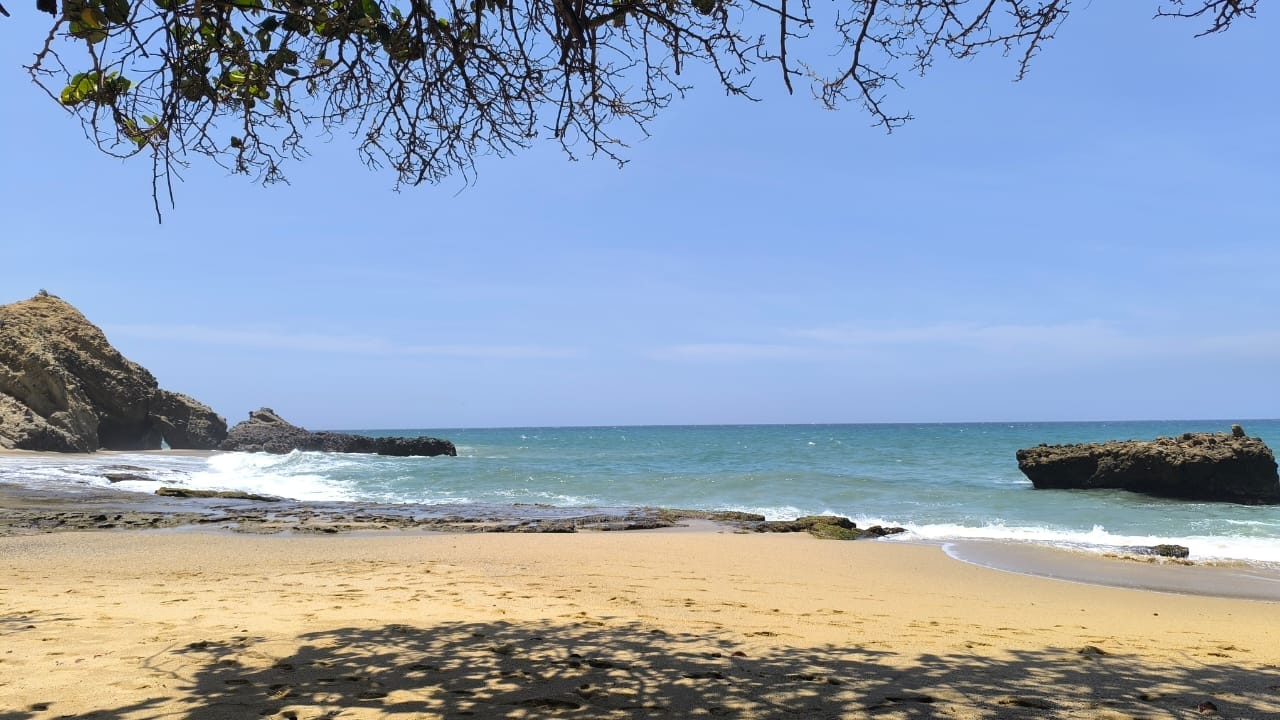 Plage sur la côte vénézuélienne.