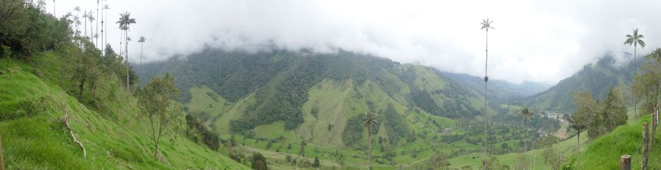 Vue de la vallée de Cocora dans la brume près de Salento dans l'eje cafetero en Colombie