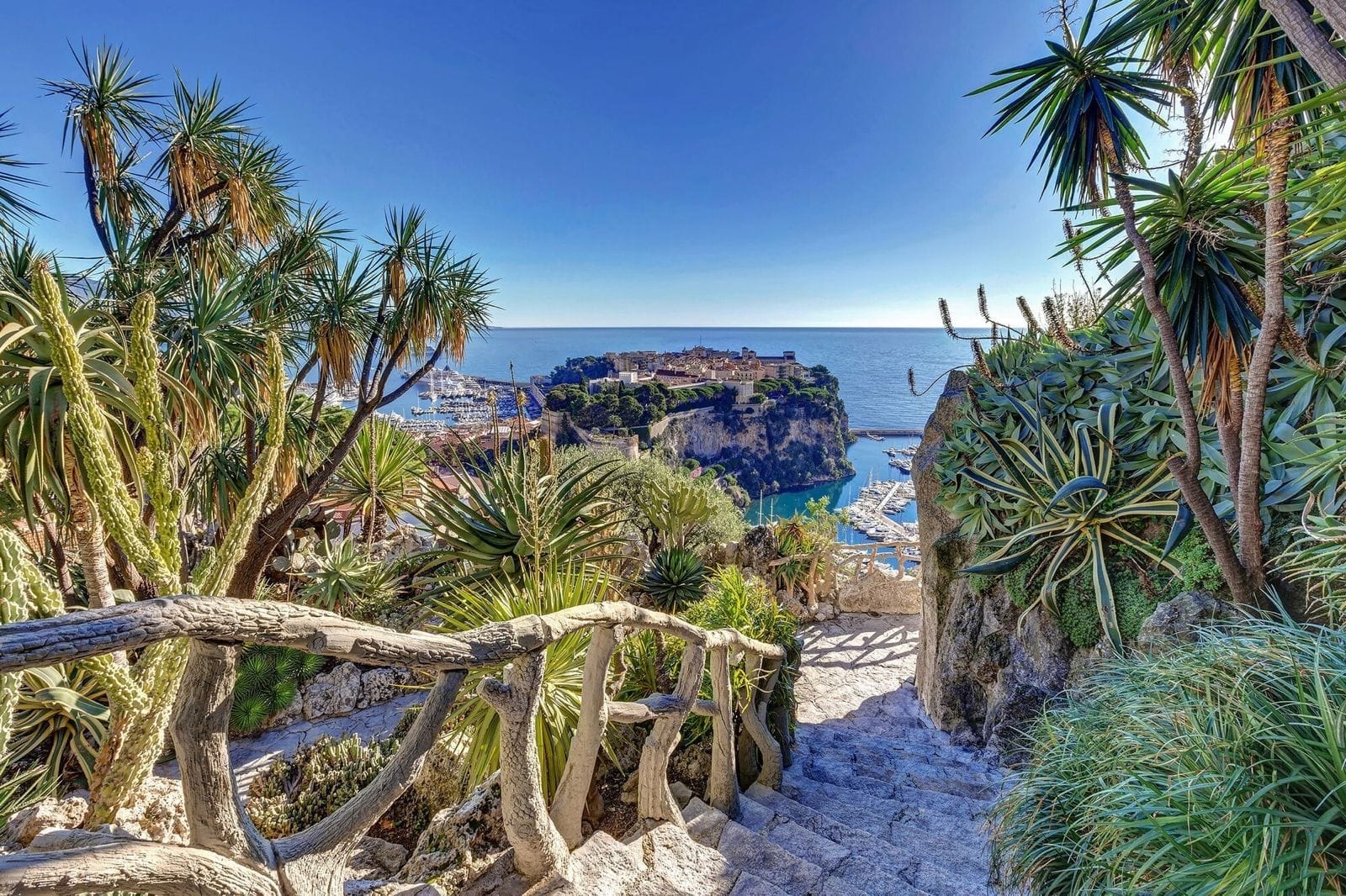 Monaco's exotic garden is finally open again, and it was worth the wait