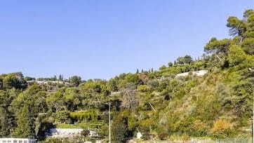 Three water-bombing helicopters battle vegetation fire in Nice park