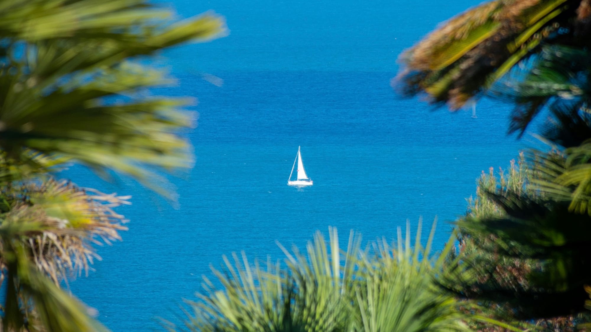Mediterranean sea temperature hits historic peak after heatwave sends Riviera waters 5.2 degrees above normal