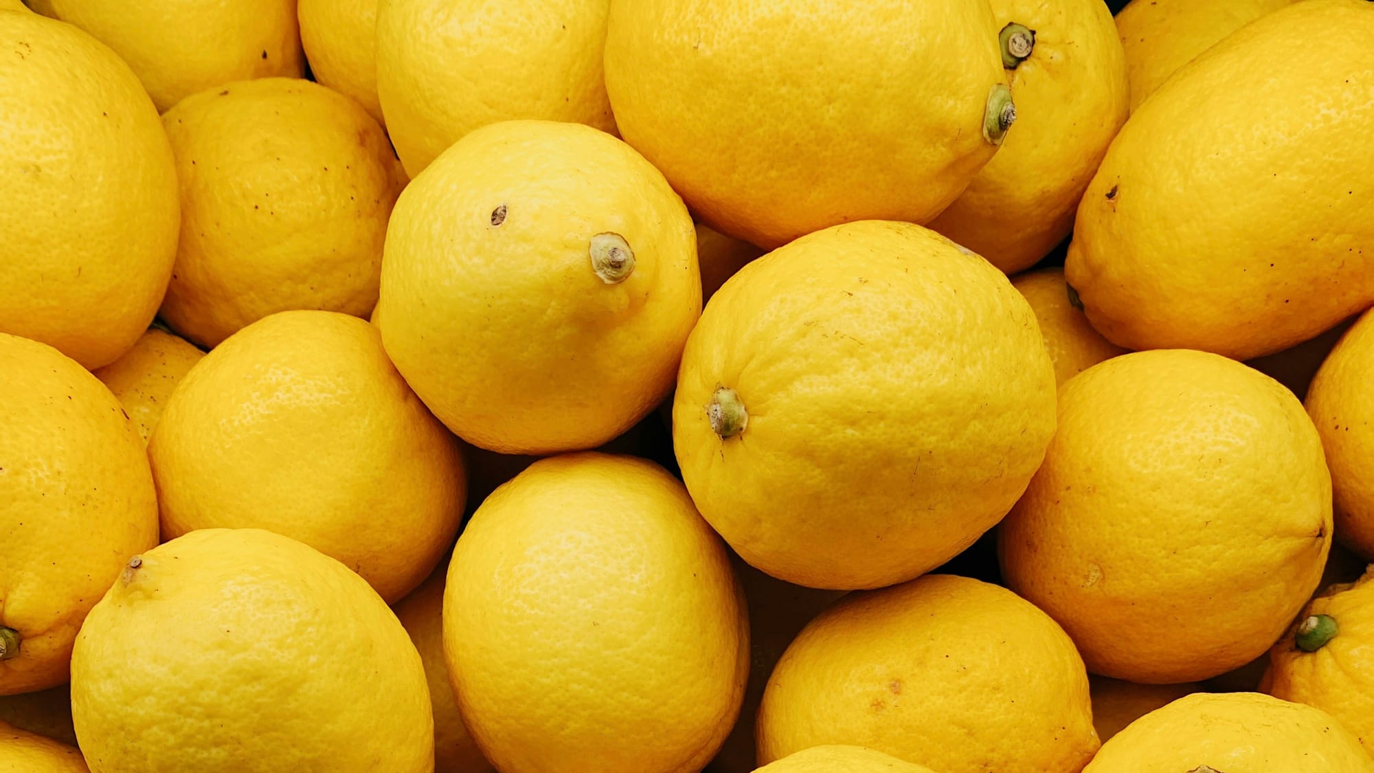 Menton's "ugly" lemons get their moment as protected label rules loosen