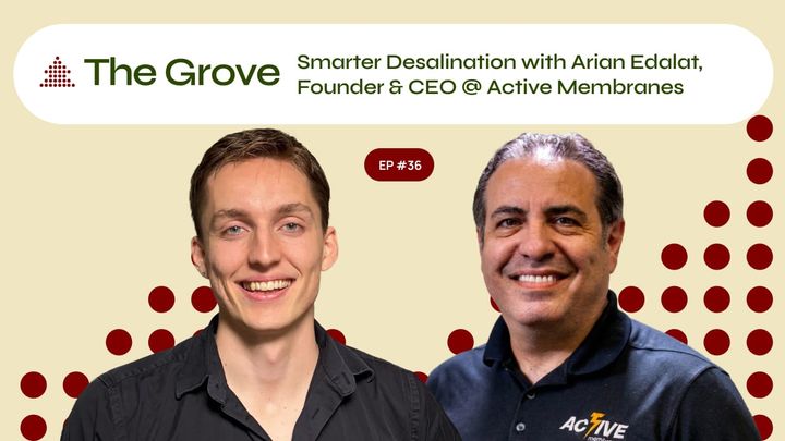 If you were a Membrane, What would you say? Arian Edalat w/Active Membrane